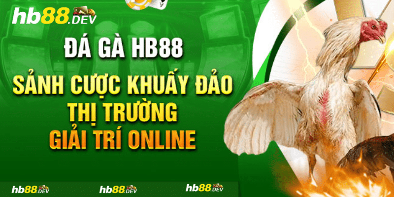 Miêu tả về trò chơi đá gà HB88