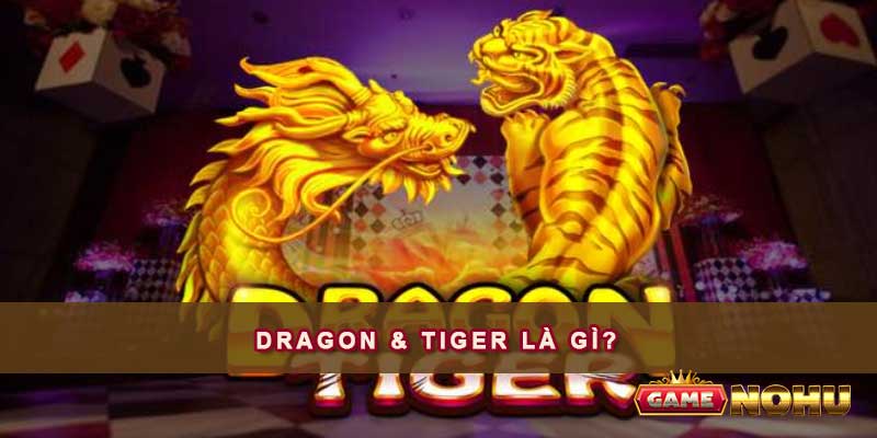 Rồng Hổ là một trò chơi xuất phát từ các quốc gia châu Á, mang theo sức hút khó cưỡng
