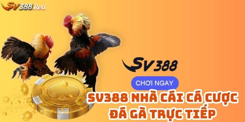 Trang web vss388 com mang tới hình ảnh chân thực