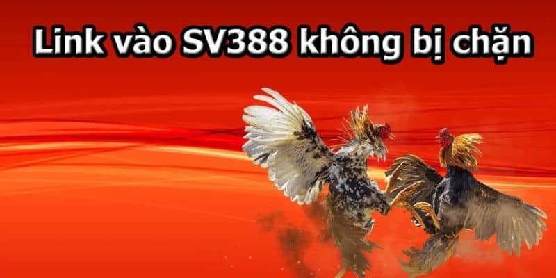 Nhà cái vss388 com cho các người chơi nhận các khoản tiền thưởng và quà tặng từ chương trình khuyến mãi của họ