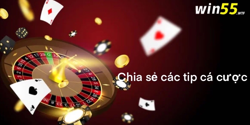 Chia sẻ các tip cá cược Win55 casino luôn thắng